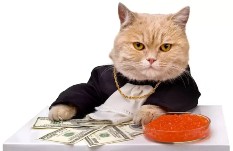 Ayo Kenali Stock Photo, Supaya Budgetmu Makin Kencang