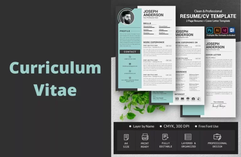 Raih Pekerjaan Impian dengan Ragam Contoh CV Desain Grafis