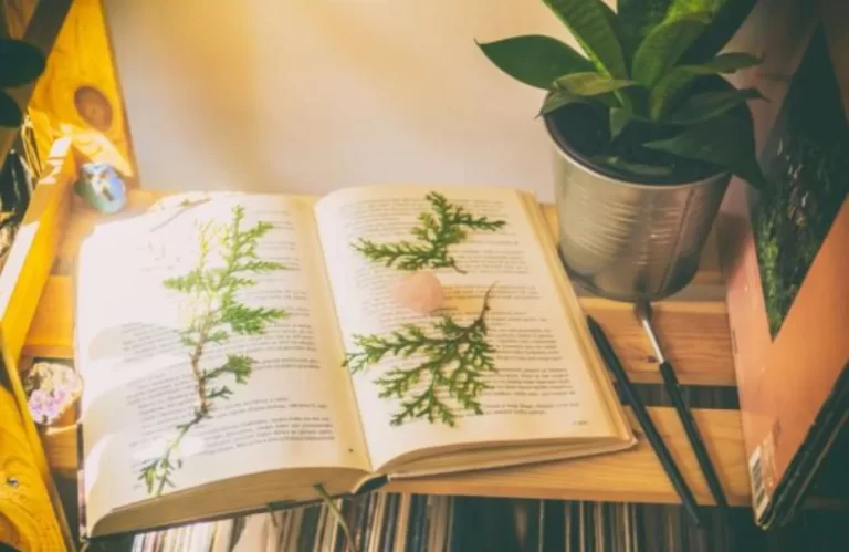 5 Rekomendasi Buku Psikologi yang Cocok untuk Kebutuhanmu