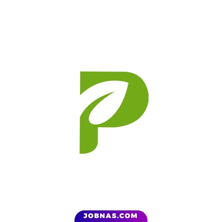 Lowongan Kerja Content Creator di PT. Pulchra Anugerah Sentosa bulan June 2026