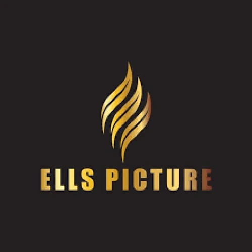 Logo CV Ells Picture