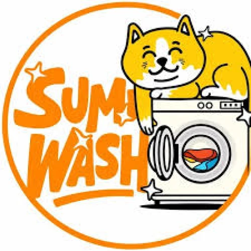 Sumi Wash