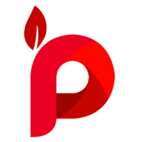 Logo PT. Perdina Indo Utama