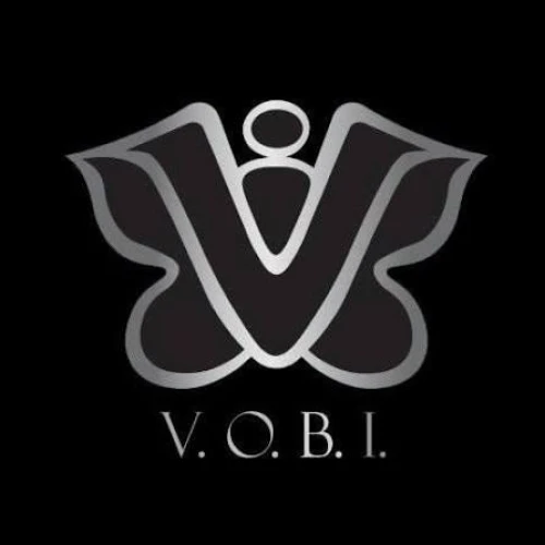 Logo VOBI
