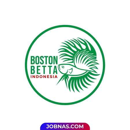 Lowongan Kerja Live Streamer di Boston Betta Indonesia untuk Bulan Desember 2025
